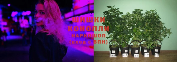 МДПВ Пестово