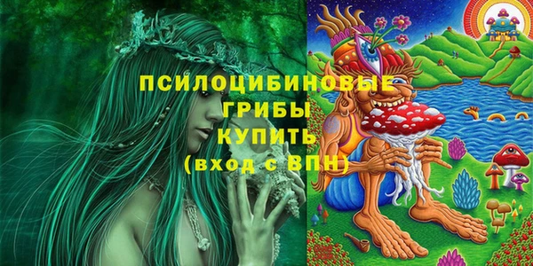 ГАЛЛЮЦИНОГЕННЫЕ ГРИБЫ Пересвет