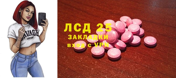 ГАЛЛЮЦИНОГЕННЫЕ ГРИБЫ Пересвет