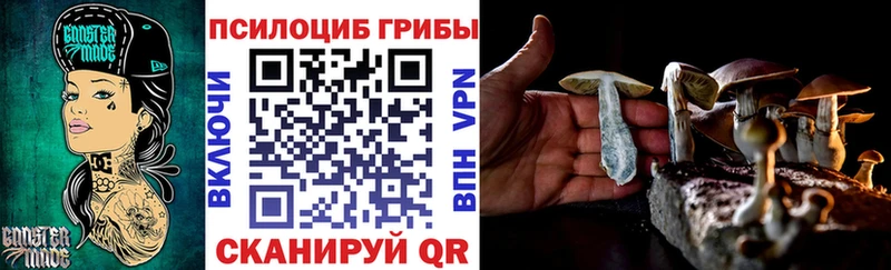 Псилоцибиновые грибы Psilocybe  кракен   Урень 